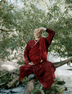 Yoga e salute: tutto il corpo respira